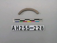 藏品(灰色泥質陶環殘件)的圖片